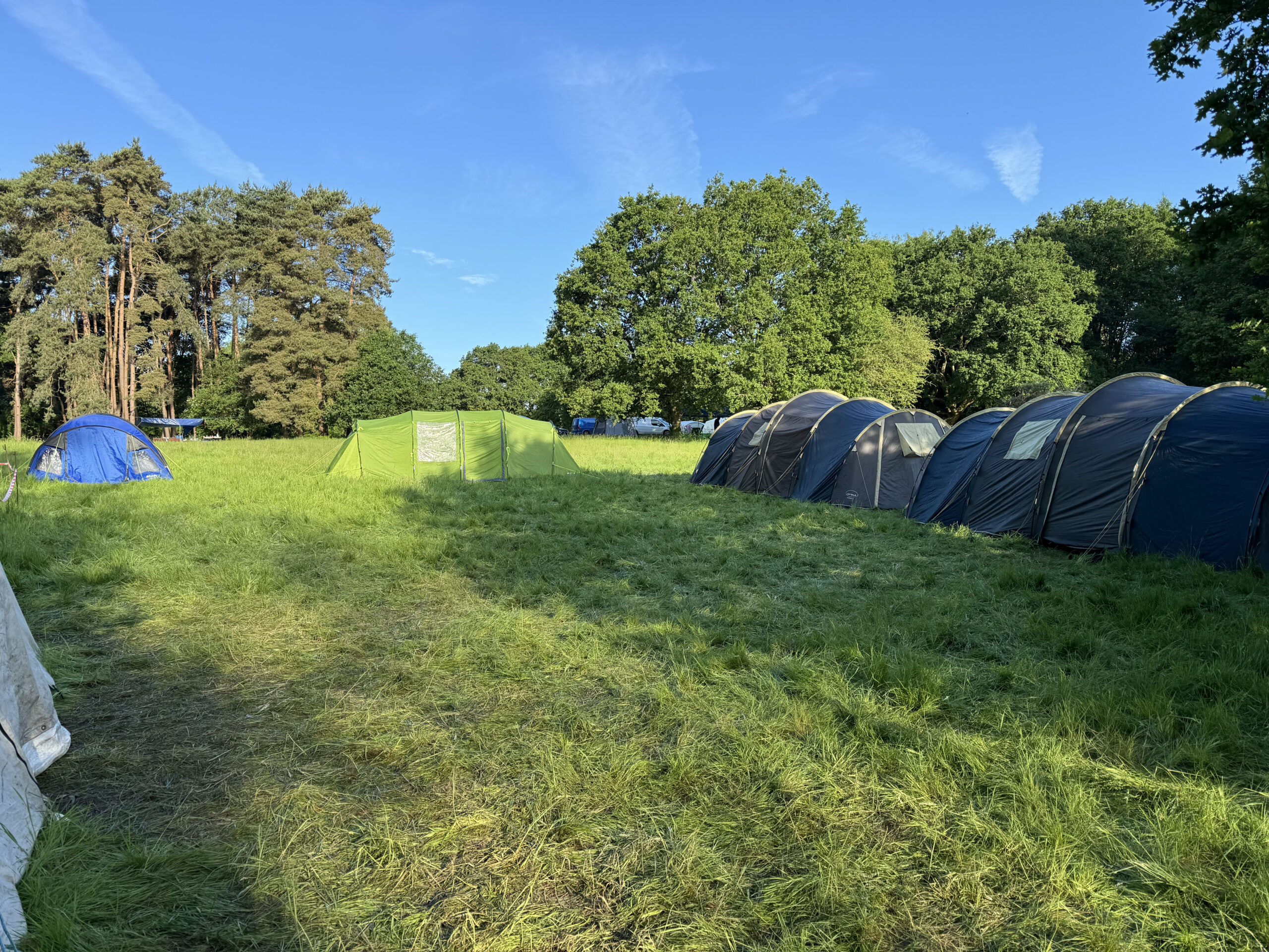 Cubs Survival Camp 2024